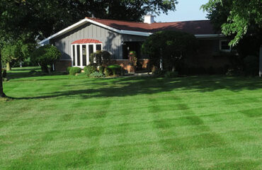 lawn striping
