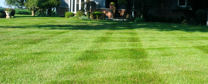 grass striping