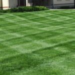 lawn with striping
