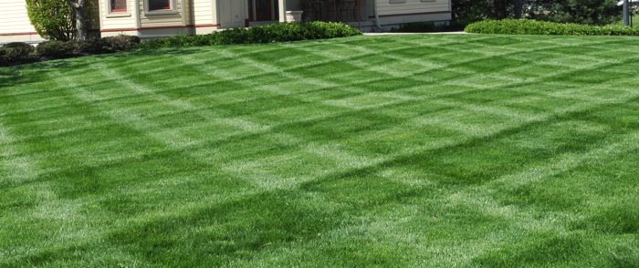 lawn with striping