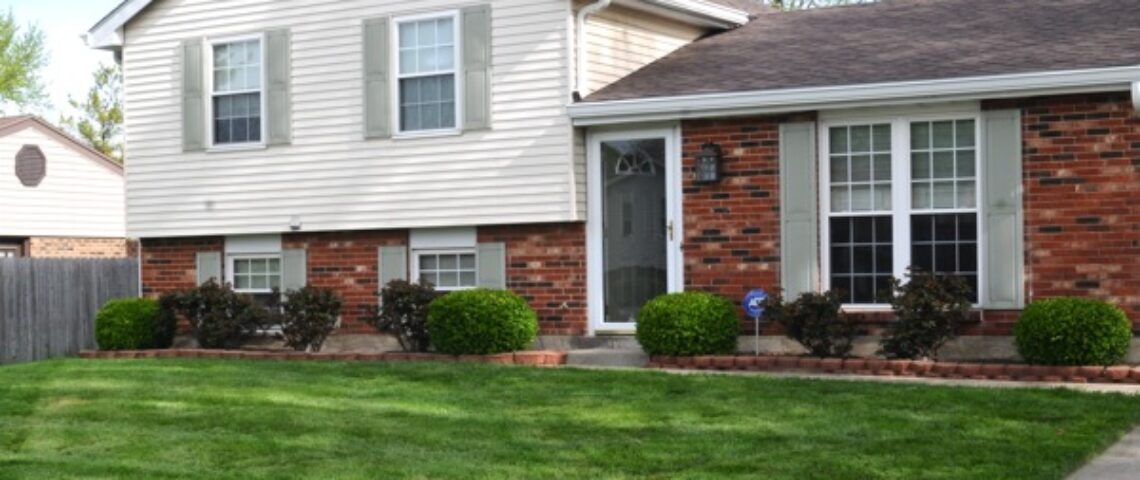 lawn treatments