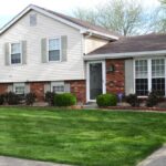 lawn treatments