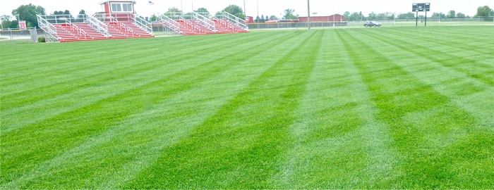 stadium lawn with striping