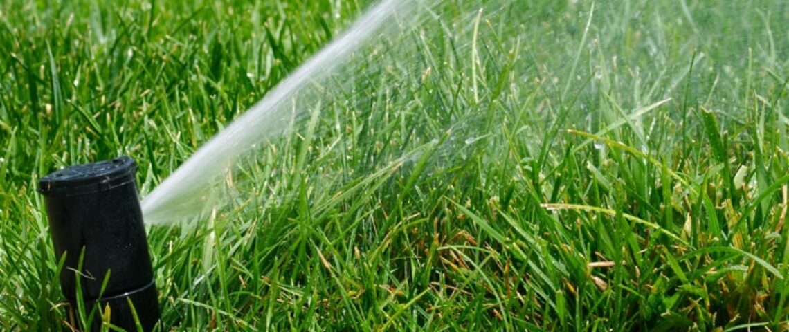 sprinkler watering a lawn