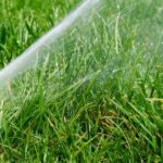 sprinkler watering a lawn