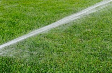 image of a sprinkler watering grass