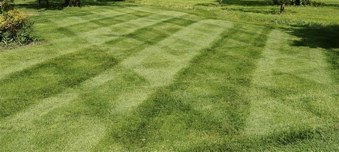 lawn with striping