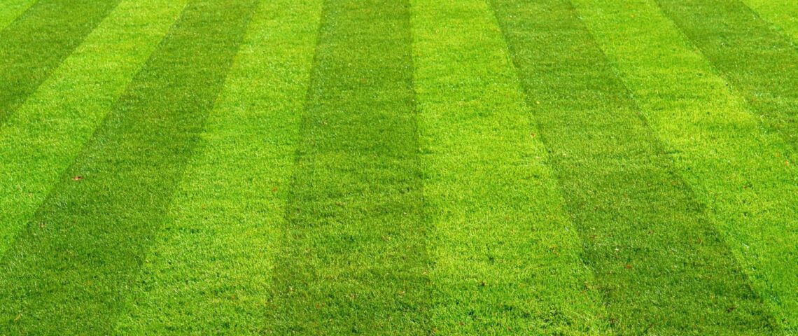 Very green lawn with striping